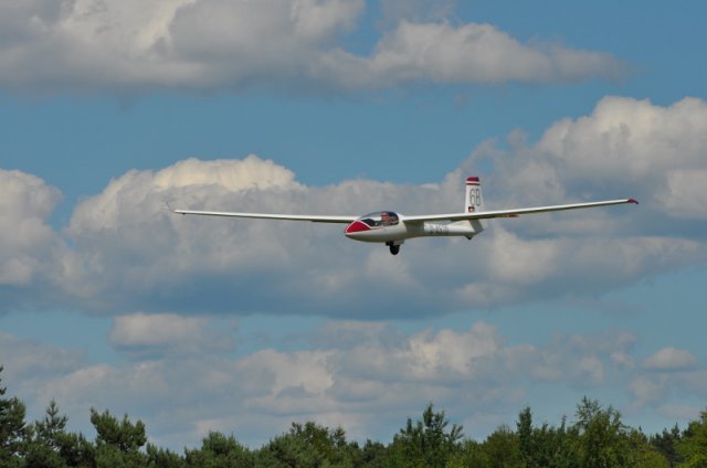 DSC_0412 (800x531)